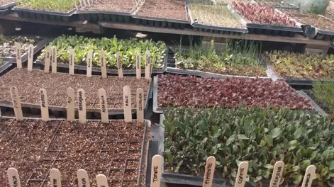 Diario de Cuyo | granja_tia_nora 728x546.webp