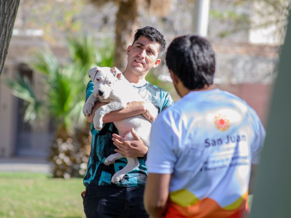 En el operativo de Tenencia Responsable habr&aacute; cirug&iacute;as, vacunaci&oacute;n y chipeo de mascotas.