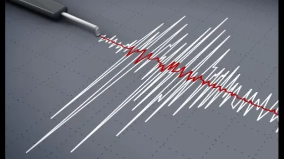 Un temblor de 5 grados en la escala de Richter sacudió a Coquimbo
