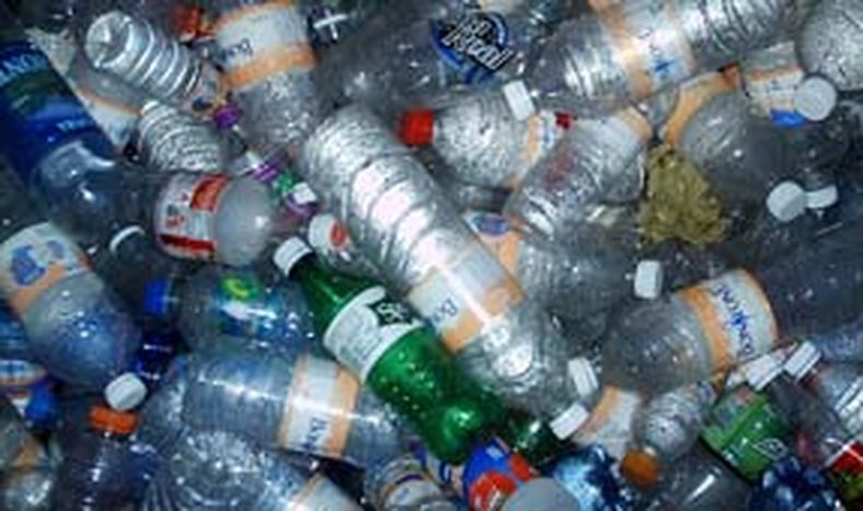 Un hongo recicla plástico