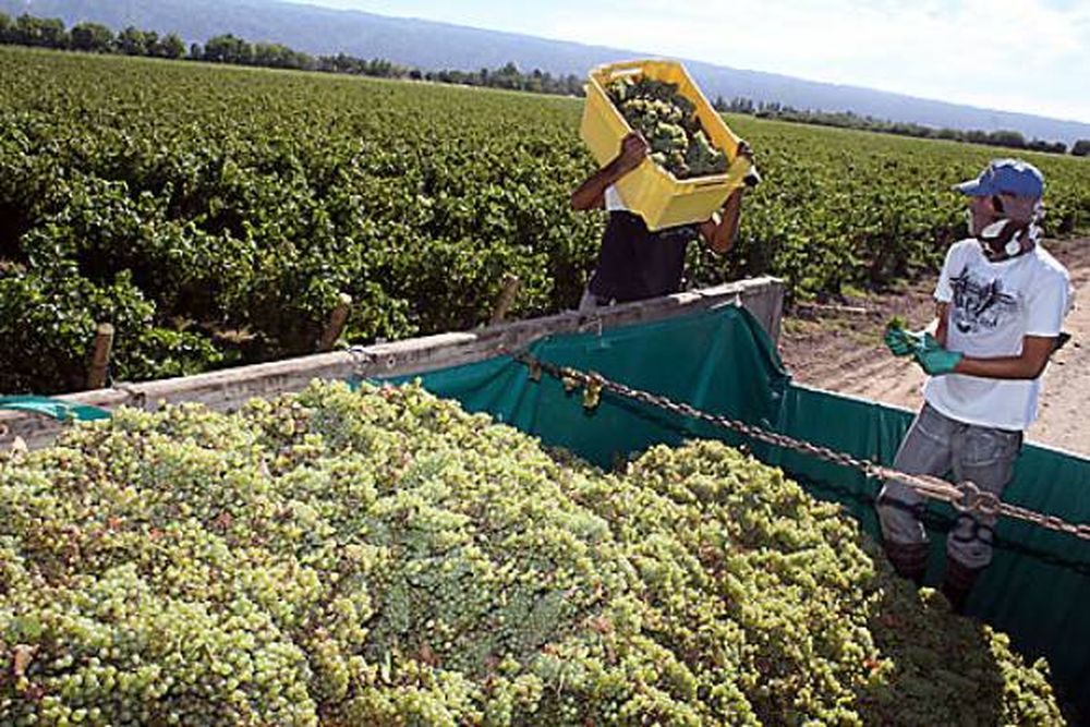 El agro local, con grandes perspectivas para el 2010