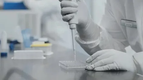 La actualización de la vacuna contra el COVID-19 estará disponible en los EEUU desde septiembre