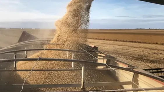 El BCRA creó un nuevo tipo de cambio para  los productores de soja