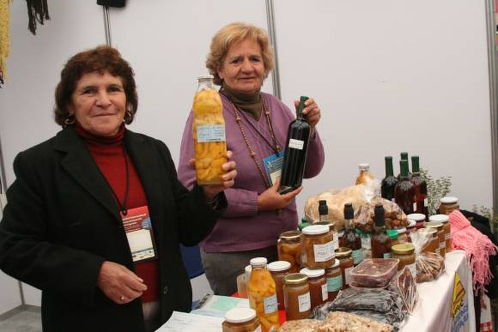 Foro de Mujeres Trabajando en la Minería