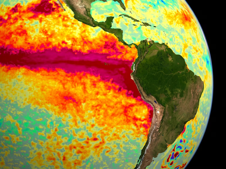 El Niño eleva el riesgo de muertes por calor en el mundo: qué prevé el mapa para Argentina