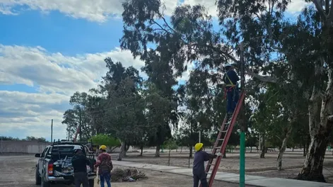 Diario de Cuyo | SATELITAL. Para dotar de conectividad a Mogna decidieron contratar un sistema de Starlink que usan los barcos.