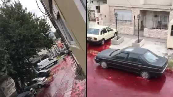 [VIDEO] Un frigorífico derramó 500 mil litros de sangre a las calles en Buenos Aires