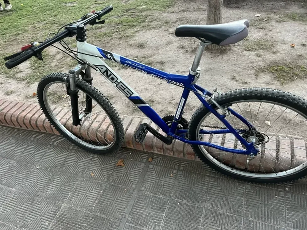 Cayó un hombre con una bicicleta robada en la Plaza 25 de Mayo