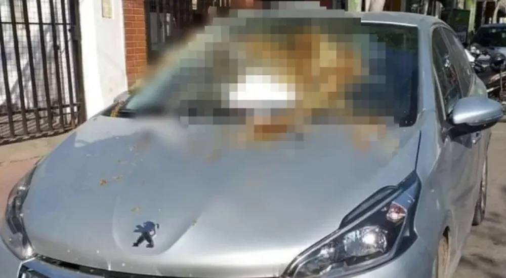 Estacionaron en la puerta de su garaje y dejó en el auto una carta con un “regalito” muy polémico