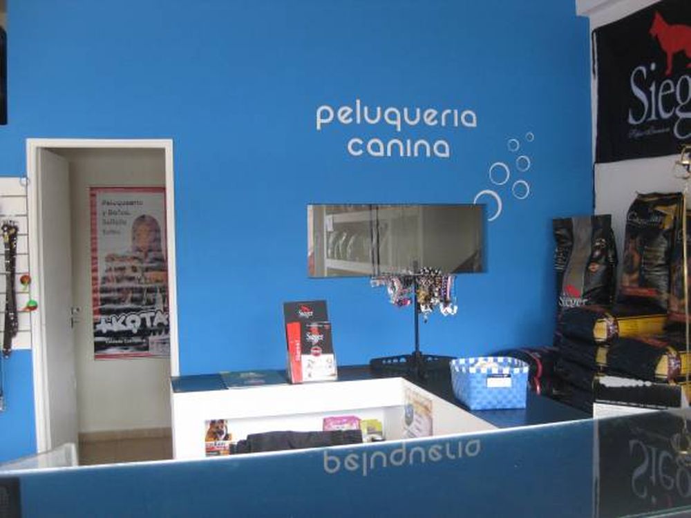 Estética para gatos y perros