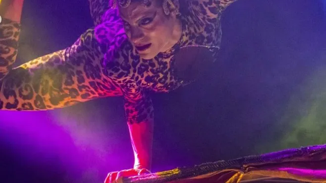 Últimas funciones en la provincia, el Circo Safari anuncia su despedida de la Agenda Cultural de San Juan