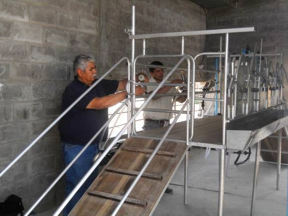 El 90% de los chivos de San Juan se vende en “negro”