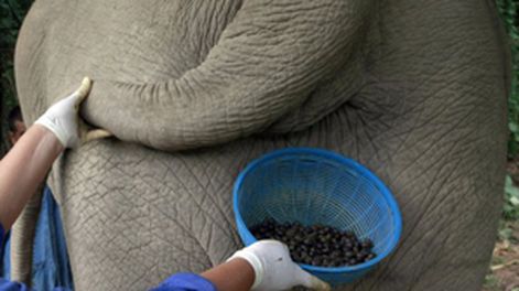 ¡Que rico café!