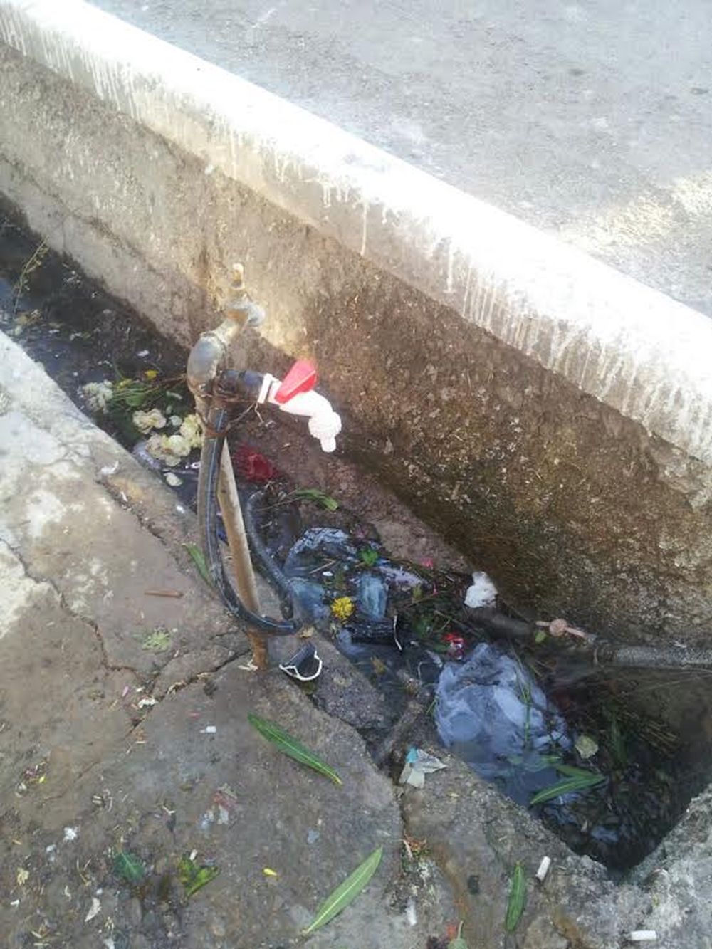 Luego de la suspensión, la Junta Electoral de la UNSJ tomó una serie de medidas