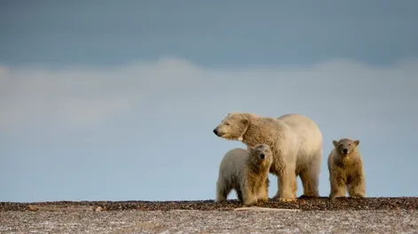 Un nuevo informe advirtió que la temperatura aumentará 1,5 grados hacia 2035
