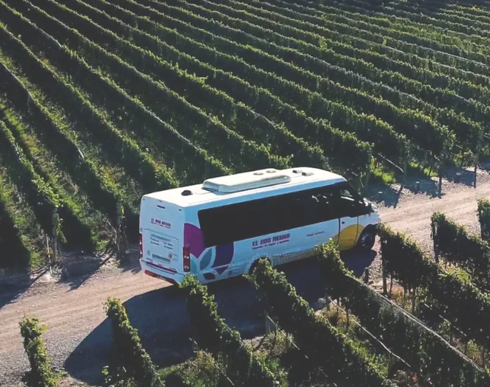 Llega la opción “low cost” para visitar bodegas en Luján de Cuyo