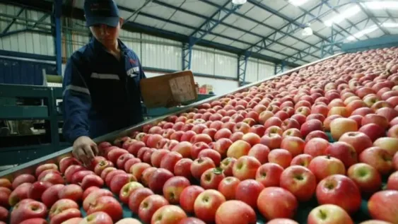 Agricultura incorporó nuevos productos de economías regionales al dólar agro