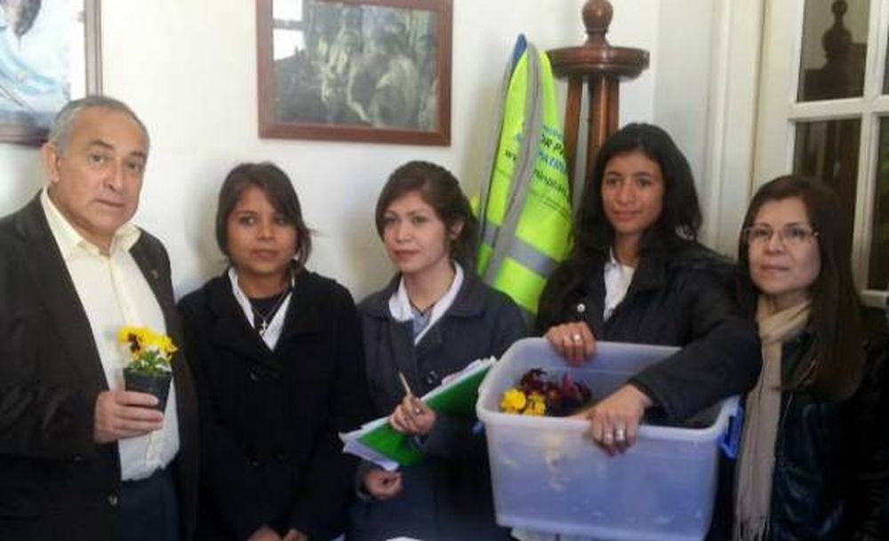 Plantines para el municipio