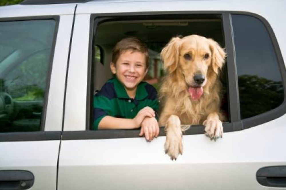 Animales en vacaciones