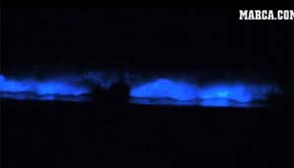 Surfean olas fluorescentes