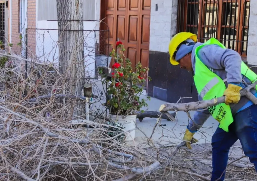 Conocé el cronograma semanal de poda en la Ciudad de San Juan