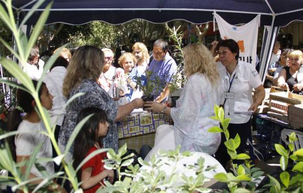 Regalaron plantines en la Peatonal