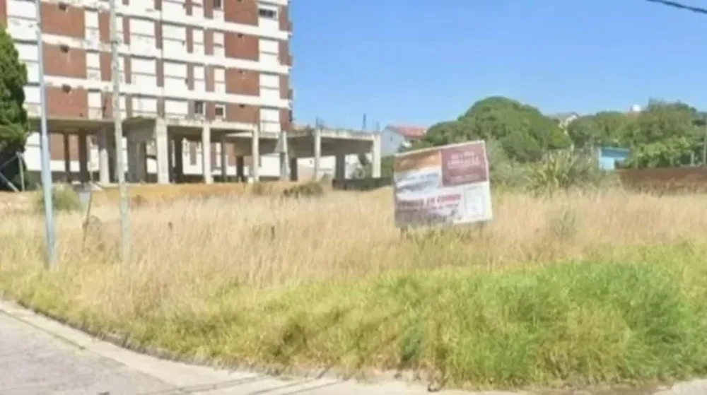 Misterio y horror en Mar del Plata: apareció muerta en un baldío y su pareja fue detenida