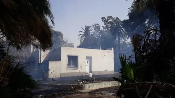 El viento propagó un incendio de pastizales y las llamas quemaron palmeras y parte de una casa