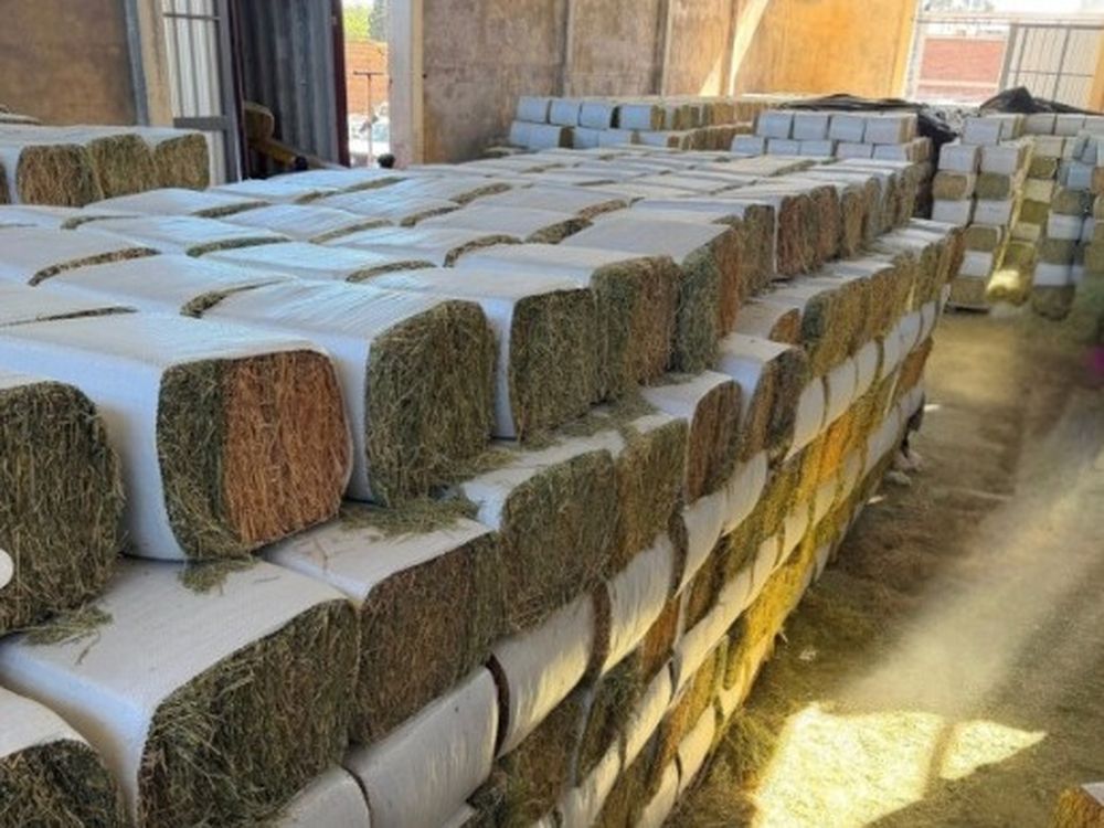 La empresa produce pellets y fardos prensados que luego envía al exterior, exportando decenas de contenedores al año.&nbsp;
