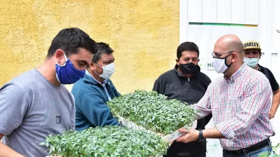 Con apoyo minero, impulsan proyecto para industrializar el tomate en Jáchal