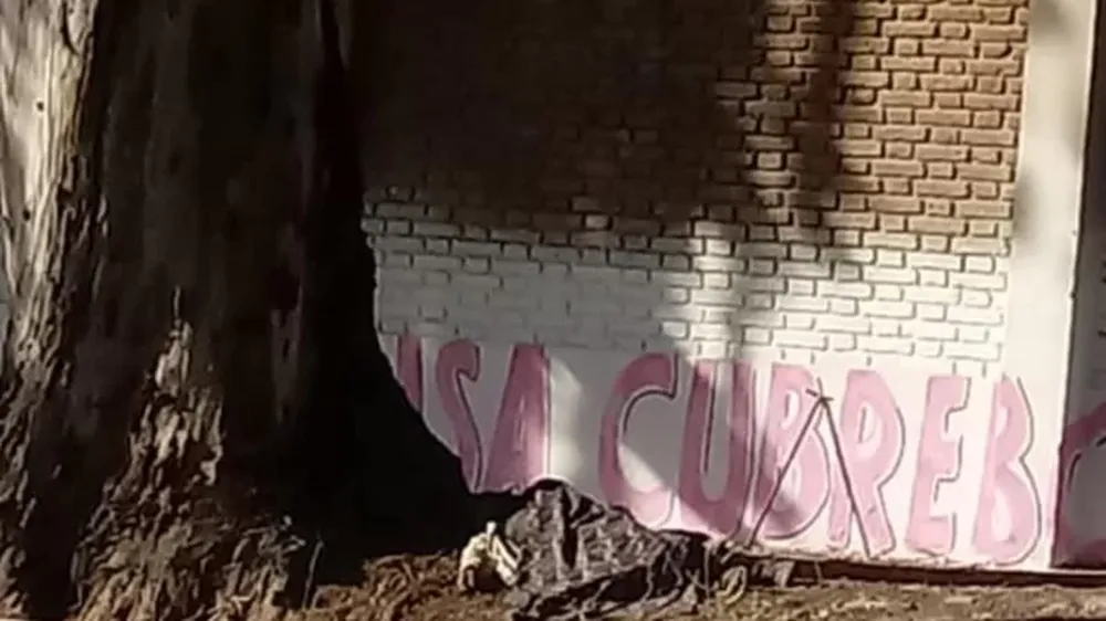 Hallaron a una persona sin vida en la calle: era un indigente e investigan los motivos del deceso