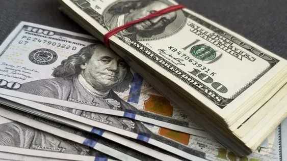 El dólar oficial cae y se mantiene lejos del techo de la banda cambiaria. &nbsp;