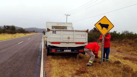 Puntos estratégicos de las rutas 510 y 511 de Valle Fértil ya cuentan con nueva cartería vial.