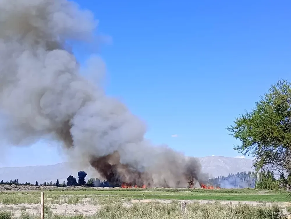 Feroz incendio en Médano de Oro: quema de pastizales amenaza viviendas