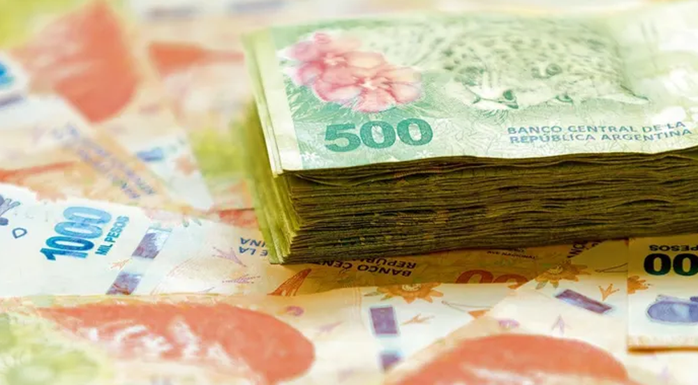 Bono de $50.000: cómo actualizar los datos en ANSES y empezar a cobrarlo en octubre