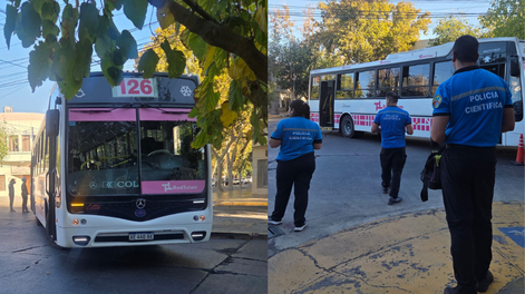 El colectivo que atropelló y mató a la mujer de 64 años es de la Línea 126. El hecho sucedió en Capital.&nbsp;