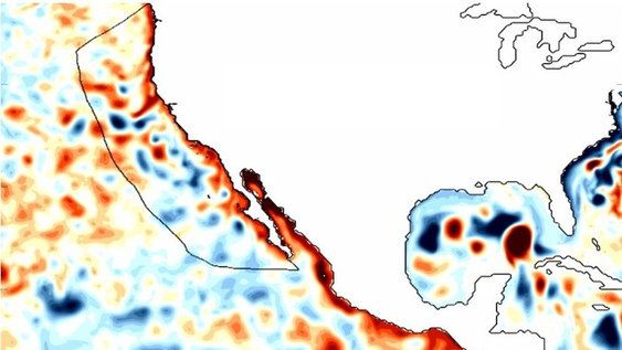 Las ondas Kelvin atrapadas en la costa, un rasgo característico de El Niño, se desplazaron hacia el norte a lo largo de la costa oeste durante el fenómeno de El Niño de 1997/1998, como se muestra en un mapa de anomalías en la altura de la superficie del mar. Foto: NOAA.
