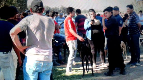 Los Navarro, unidos por la profesión: las manos que atienden a 3 equipos sanjuaninos de elite