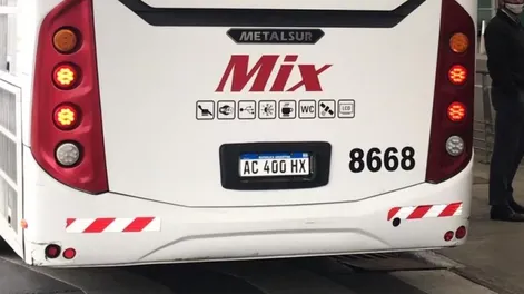 Diario de Cuyo | cole_1_crop1598869430698 728x548.webp