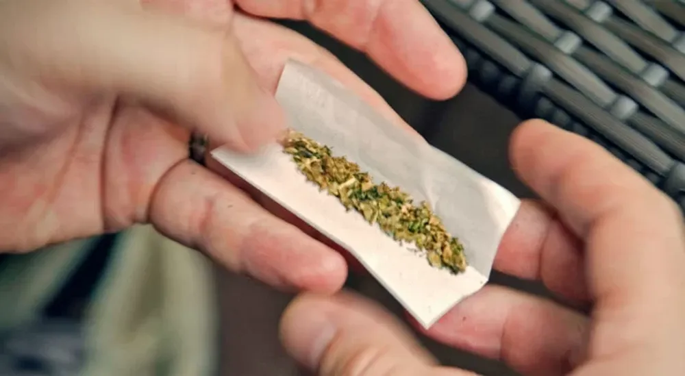 La Corte Suprema de México despenaliza el uso recreativo de la marihuana