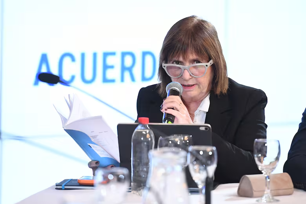 Patricia Bullrich, senadora.