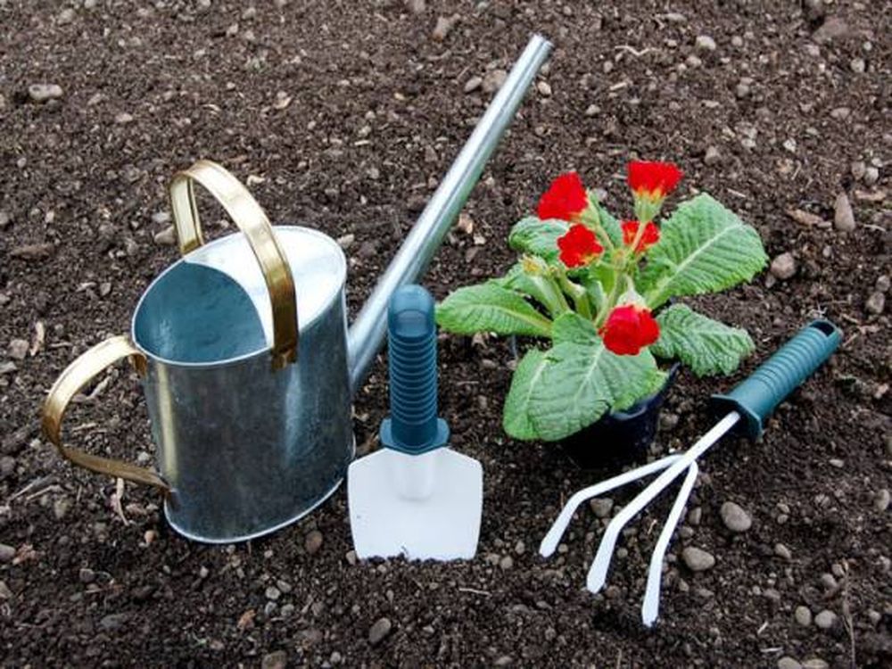 Cómo mejorar el suelo del jardín