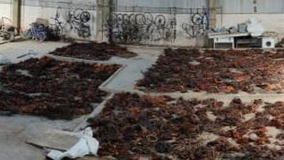 Confirman con pericias que parte de los cables eran robados