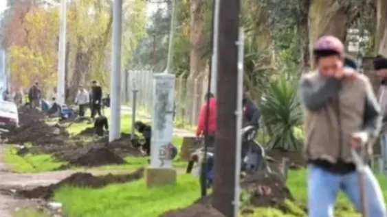 A plena luz del día, 300 personas cavaron pozos para robar cables de teléfono