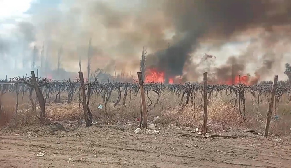 Incendio de parrales.