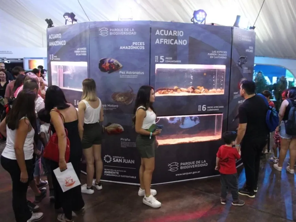 Una piraña y un pez venenoso atrapan a los curiosos en la Feria