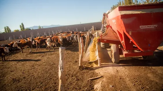 Créditos fiscales: se presentaron 87 proyectos que generarán unos 800 puestos de trabajo