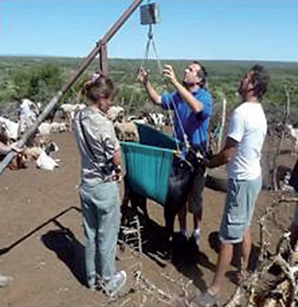Desarrollan clúster caprino entre San Luis, San Juan y Mendoza