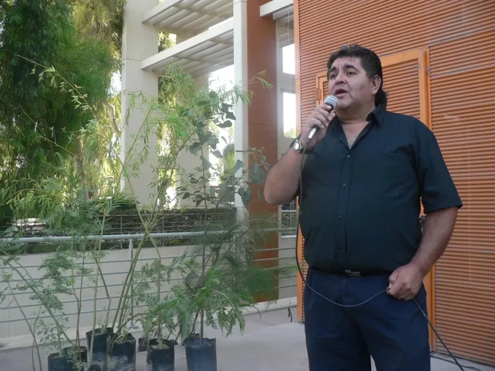 Los árboles de las calles no se podan porque los daña hasta morir