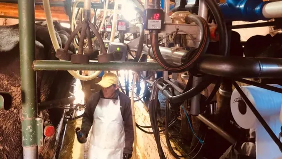 Hay un crecimiento del 25% en la producción de leche en los 15 tambos de la provincia